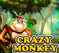 Crazy Monkey