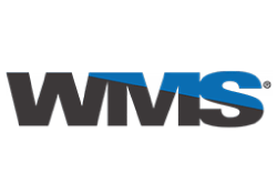 Игровые автоматы Williams Interactive